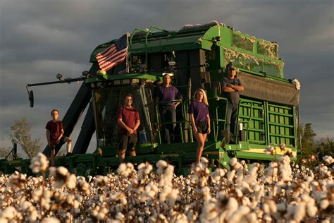 Cotton Planting | <strong>Griggs Farms</strong>. . Griggs farm llc